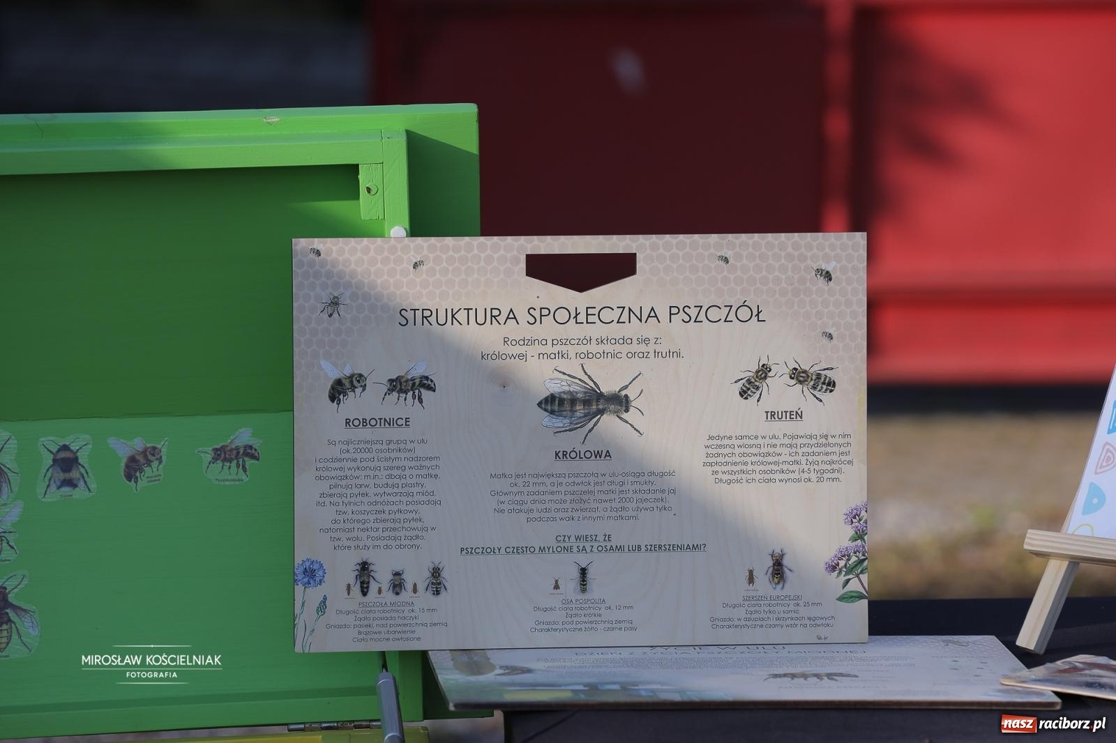 Zdjęcie w galerii na portalu naszraciborz.pl: Turniej sołectw w Krzanowicach: sportowa rywalizacja i integracja ponad granicami wiadomości z regionu