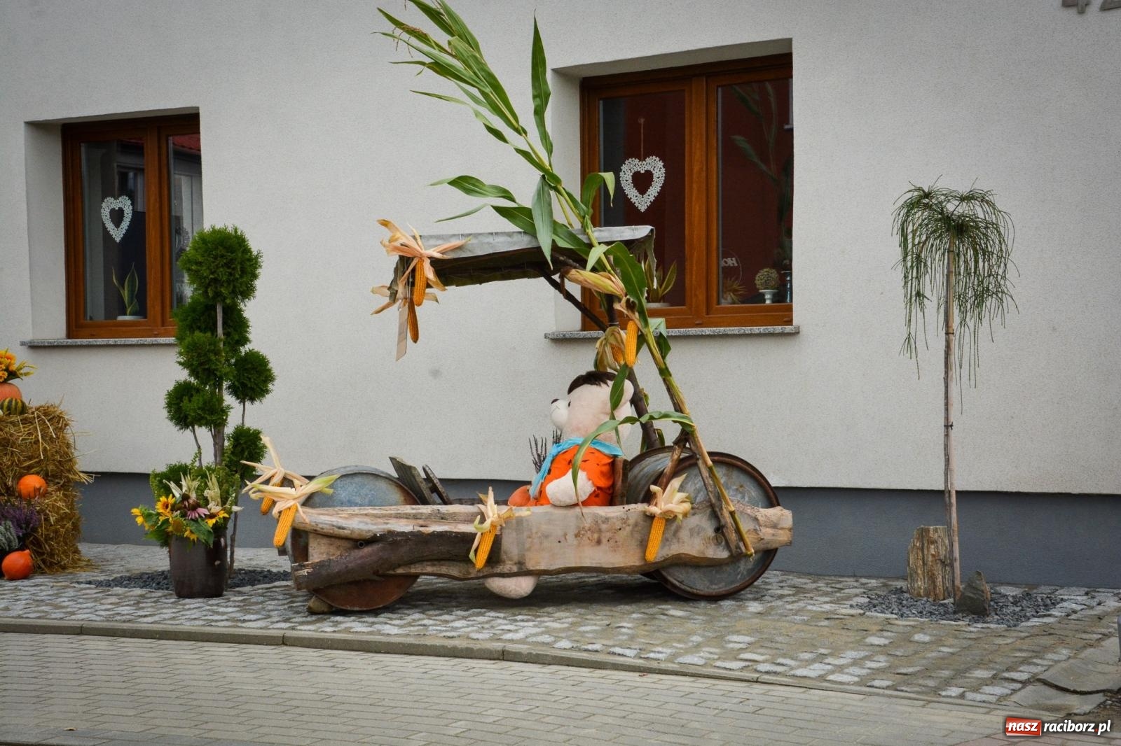 Zdjęcie w galerii na portalu naszraciborz.pl: Dożynki gminne w Pawłowie – najdłużej trwający korowód w powiecie [FOTO i WIDEO] wiadomości z regionu