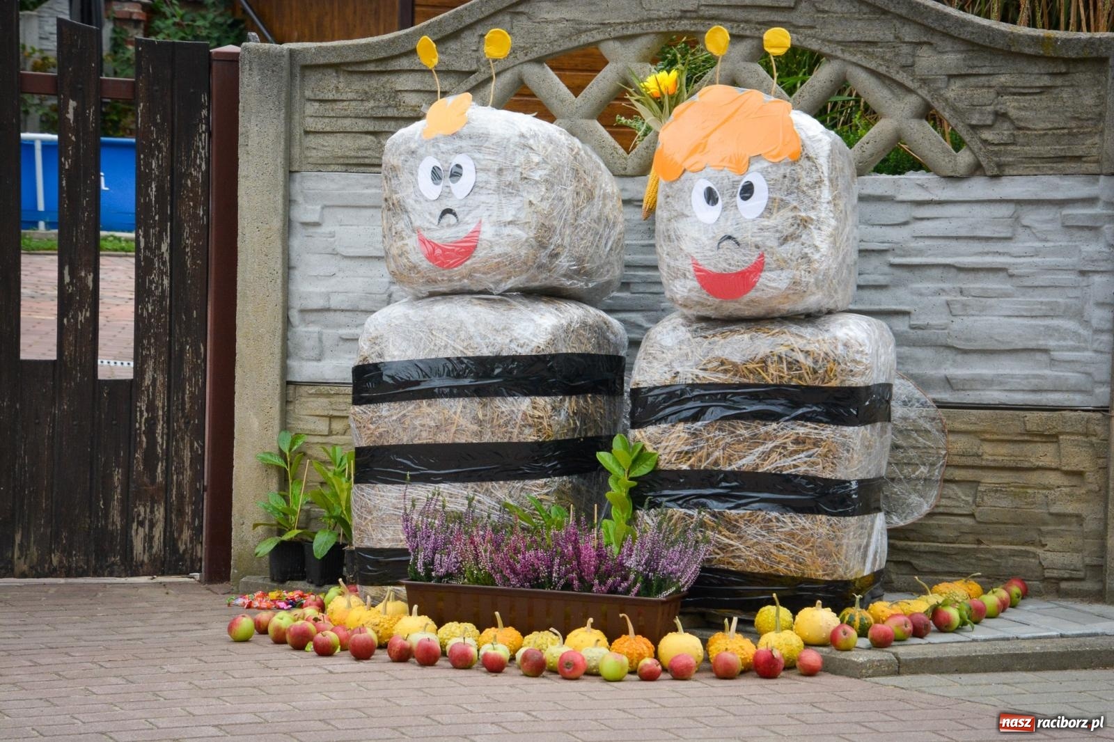 Zdjęcie w galerii na portalu naszraciborz.pl: Dożynki gminne w Pawłowie – najdłużej trwający korowód w powiecie [FOTO i WIDEO] wiadomości z regionu