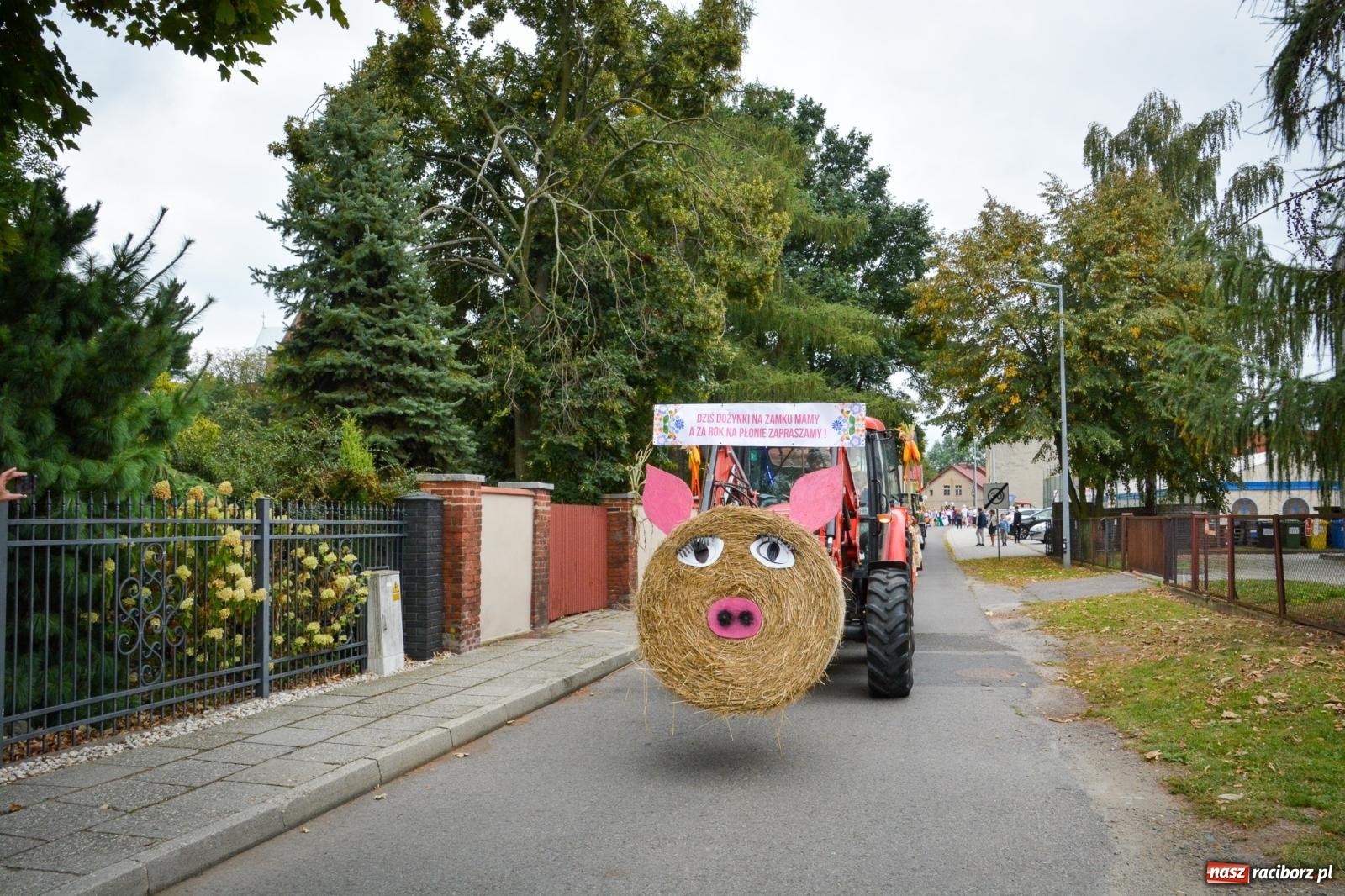 Zdjęcie w galerii na portalu naszraciborz.pl: Dożynki miejskie w Raciborzu – Ostróg gospodarzem święta plonów [FOTO i WIDEO] wiadomości z regionu