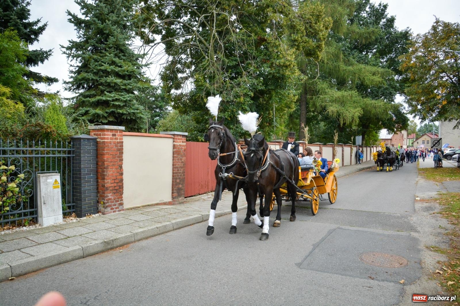 Zdjęcie w galerii na portalu naszraciborz.pl: Dożynki miejskie w Raciborzu – Ostróg gospodarzem święta plonów [FOTO i WIDEO] wiadomości z regionu