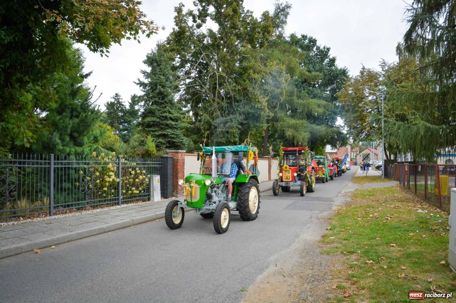 Zdjęcie w galerii na portalu naszraciborz.pl: Dożynki miejskie w Raciborzu – Ostróg gospodarzem święta plonów [FOTO i WIDEO] wiadomości z regionu