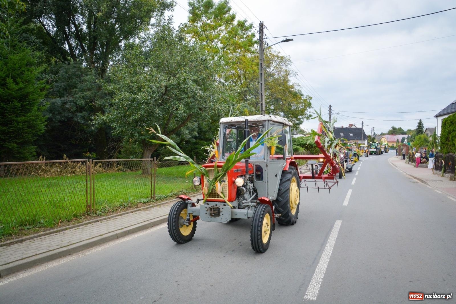 Zdjęcie w galerii na portalu naszraciborz.pl: Dożynki w Krzanowicach – kolorowy i radosny korowód [FOTO i WIDEO] wiadomości z regionu