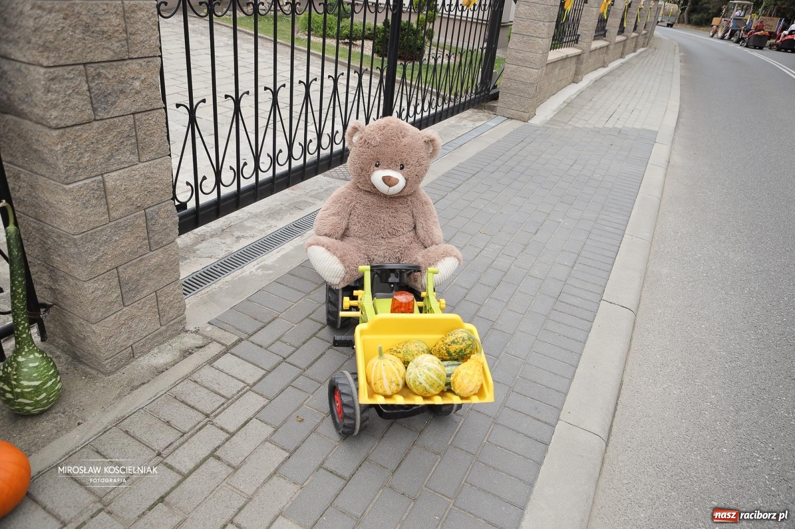 Zdjęcie w galerii na portalu naszraciborz.pl: Dożynki w Raciborzu Sudole: rolnicze święto z humorem i tradycją wiadomości z regionu