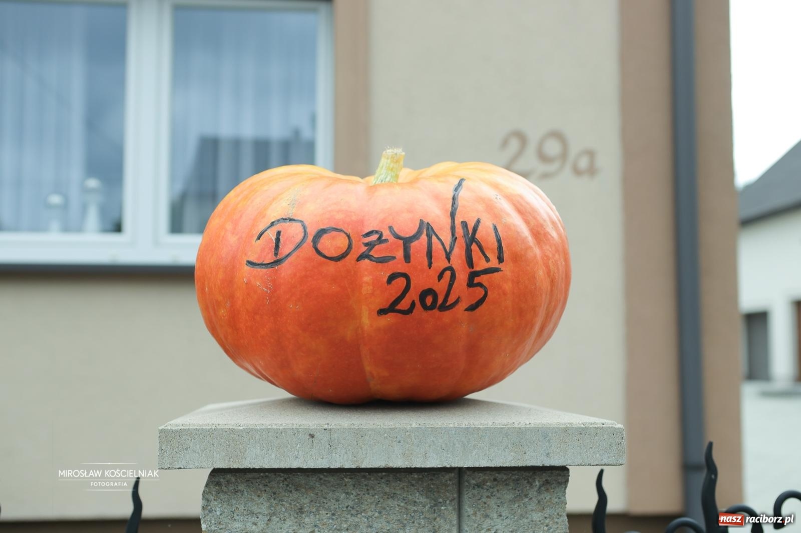 Zdjęcie w galerii na portalu naszraciborz.pl: Dożynki w Raciborzu Sudole: rolnicze święto z humorem i tradycją wiadomości z regionu