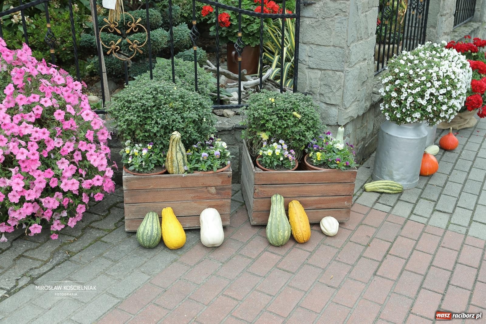 Zdjęcie w galerii na portalu naszraciborz.pl: Dożynki w Raciborzu Sudole: rolnicze święto z humorem i tradycją wiadomości z regionu