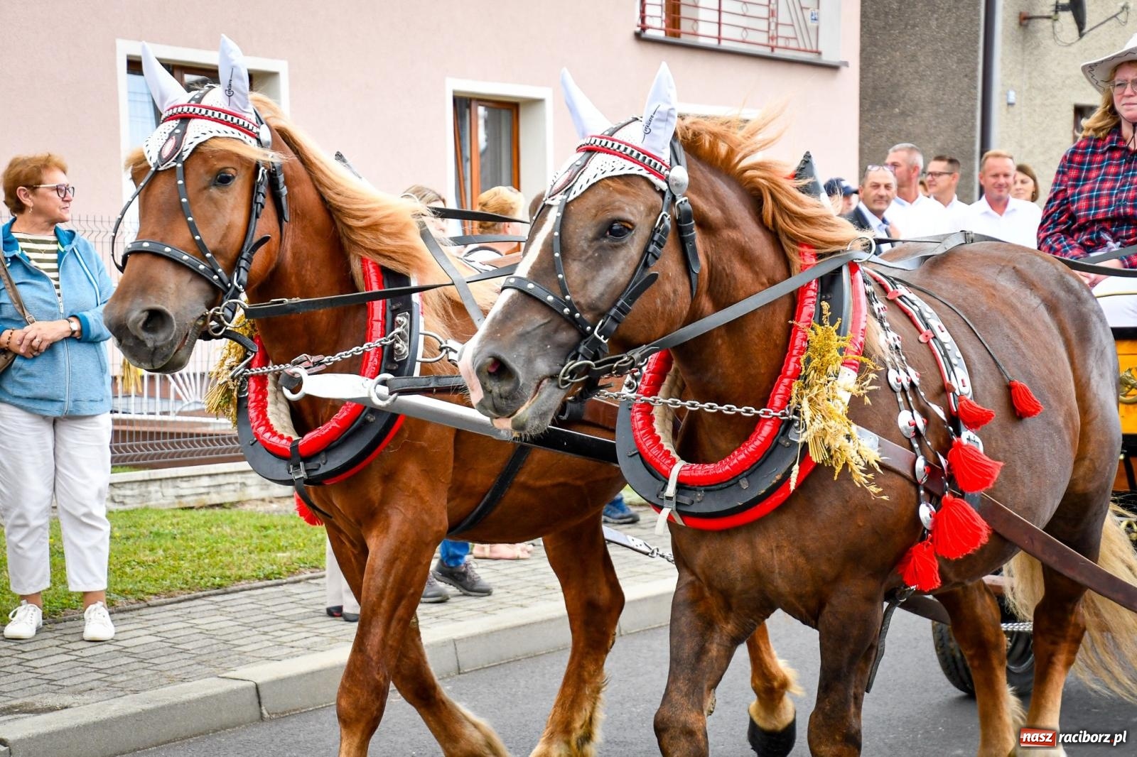 Zdjęcie w galerii na portalu naszraciborz.pl: Dożynki gminy Krzyżanowice w Owsiszczach. Imponujący korowód w międzynarodowym towarzystwie [FOTO i WIDEO] wiadomości z regionu