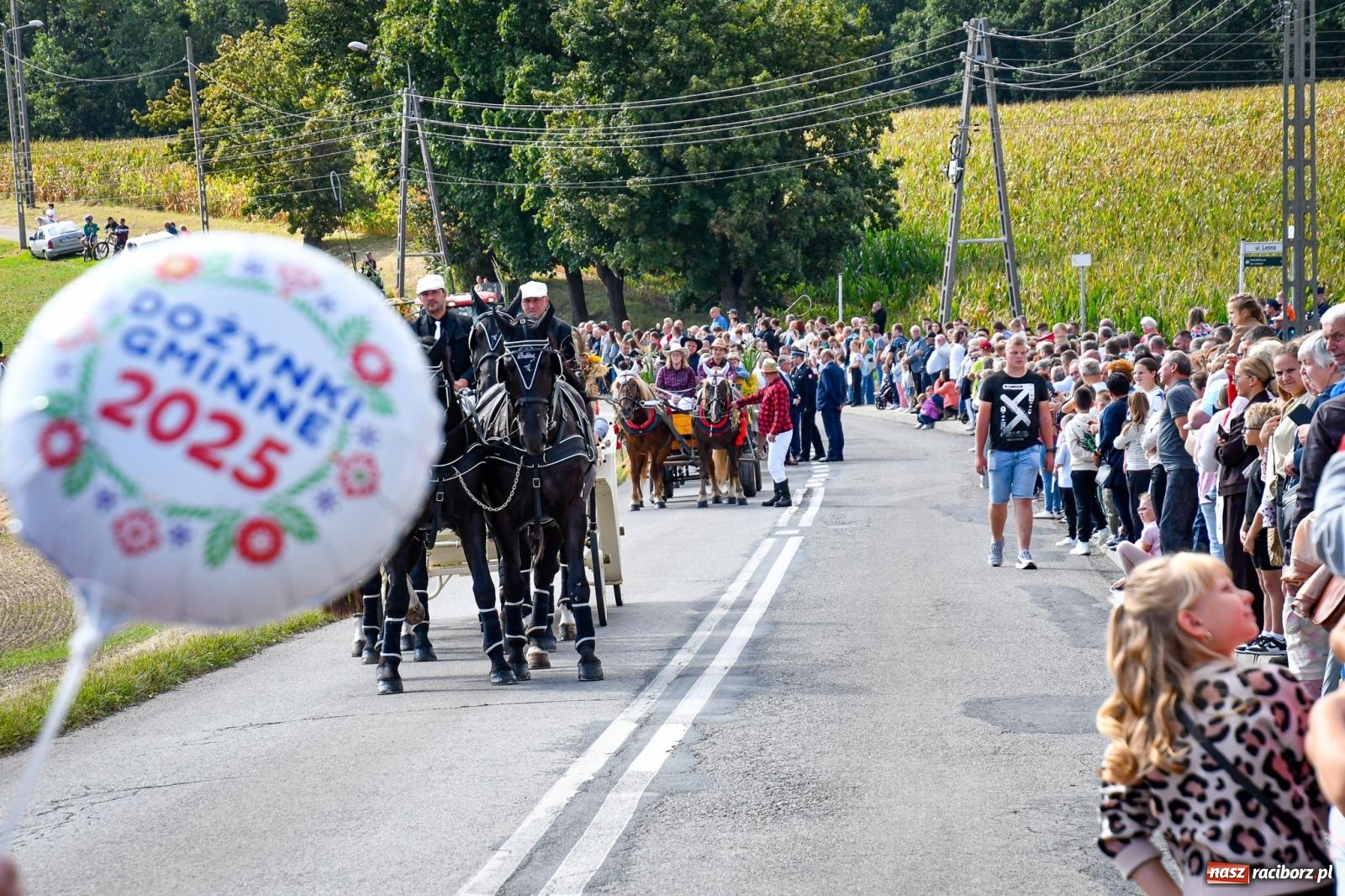 Zdjęcie w galerii na portalu naszraciborz.pl: Dożynki gminy Krzyżanowice w Owsiszczach. Imponujący korowód w międzynarodowym towarzystwie [FOTO i WIDEO] wiadomości z regionu