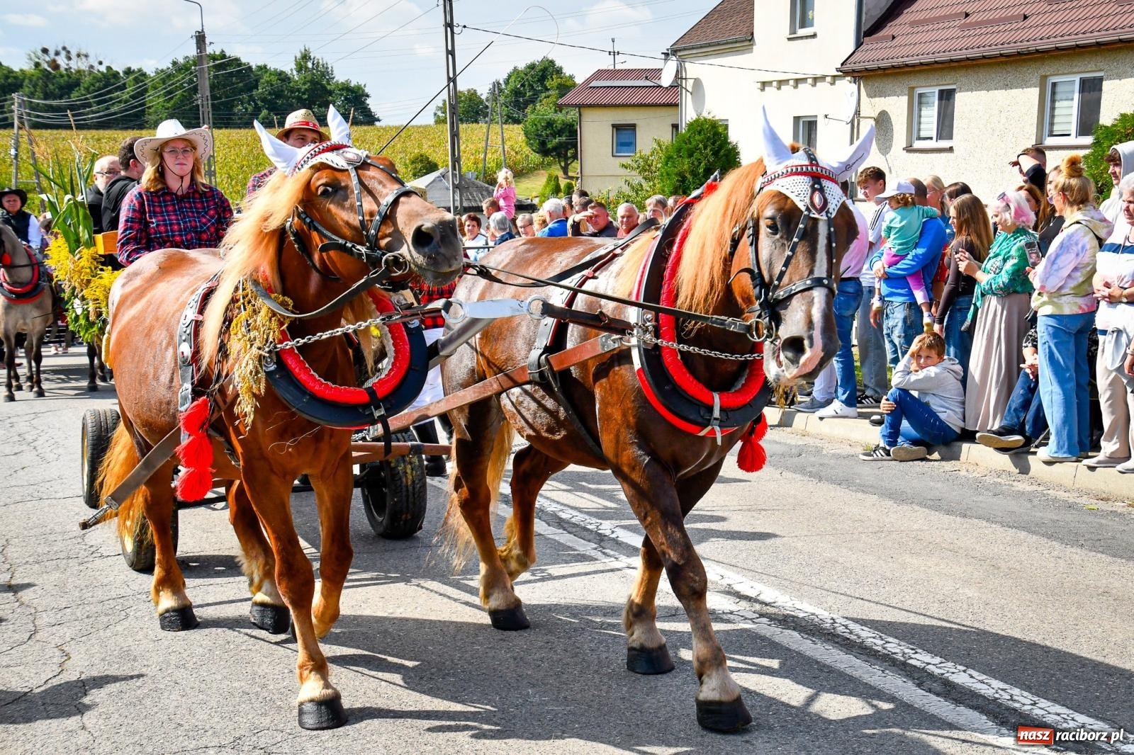Zdjęcie w galerii na portalu naszraciborz.pl: Dożynki gminy Krzyżanowice w Owsiszczach. Imponujący korowód w międzynarodowym towarzystwie [FOTO i WIDEO] wiadomości z regionu