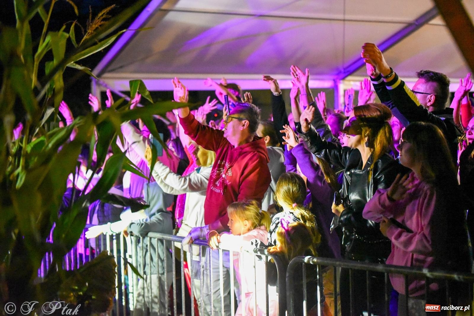 Zdjęcie w galerii na portalu naszraciborz.pl: Piękni i Młodzi na finał gminnych dożynek w Pawłowie [FOTO] wiadomości z regionu