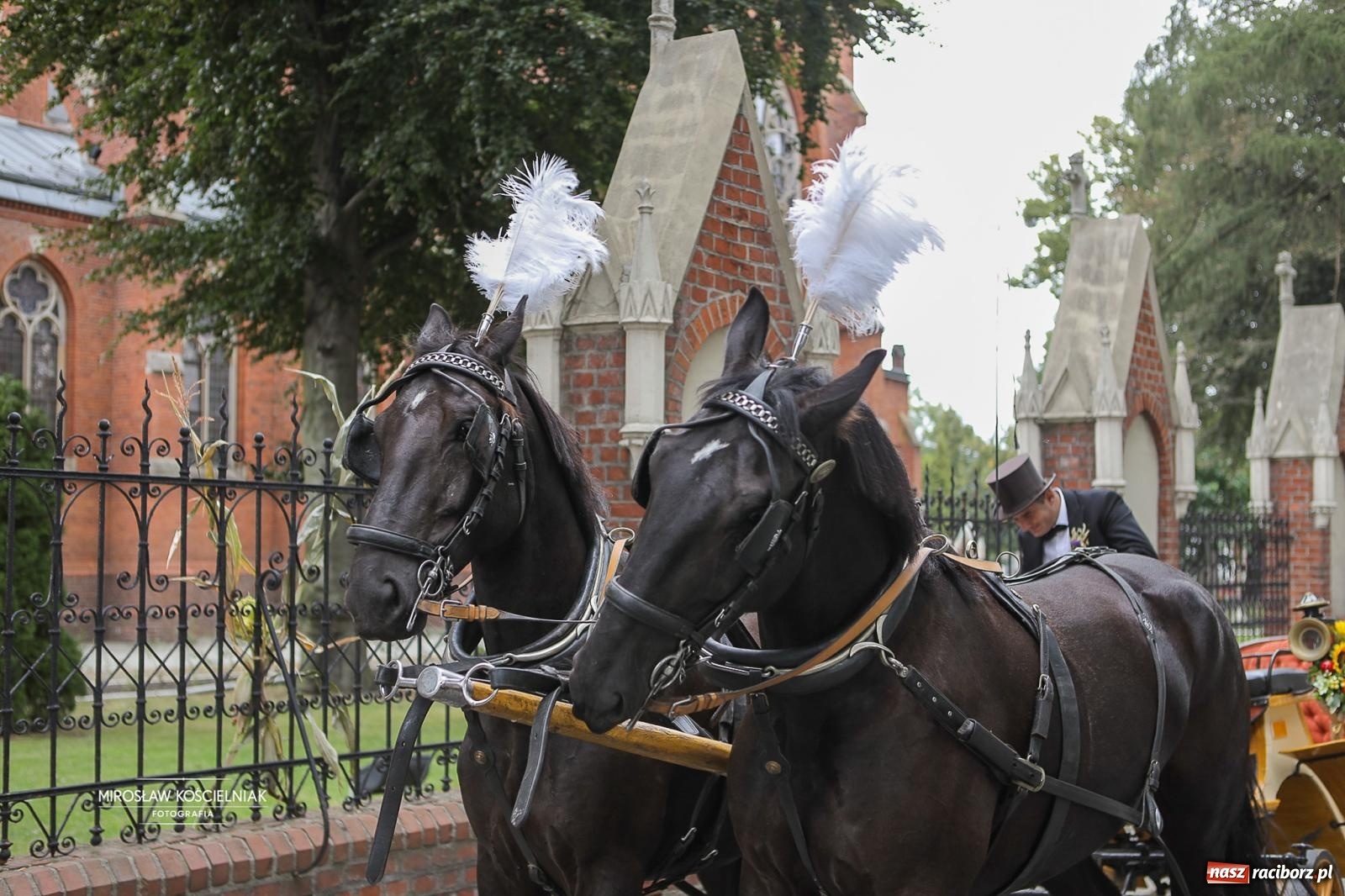 Zdjęcie w galerii na portalu naszraciborz.pl: Racibórz świętował dożynki miejskie na Zamku Piastowskim. Diiya na finał wiadomości z regionu