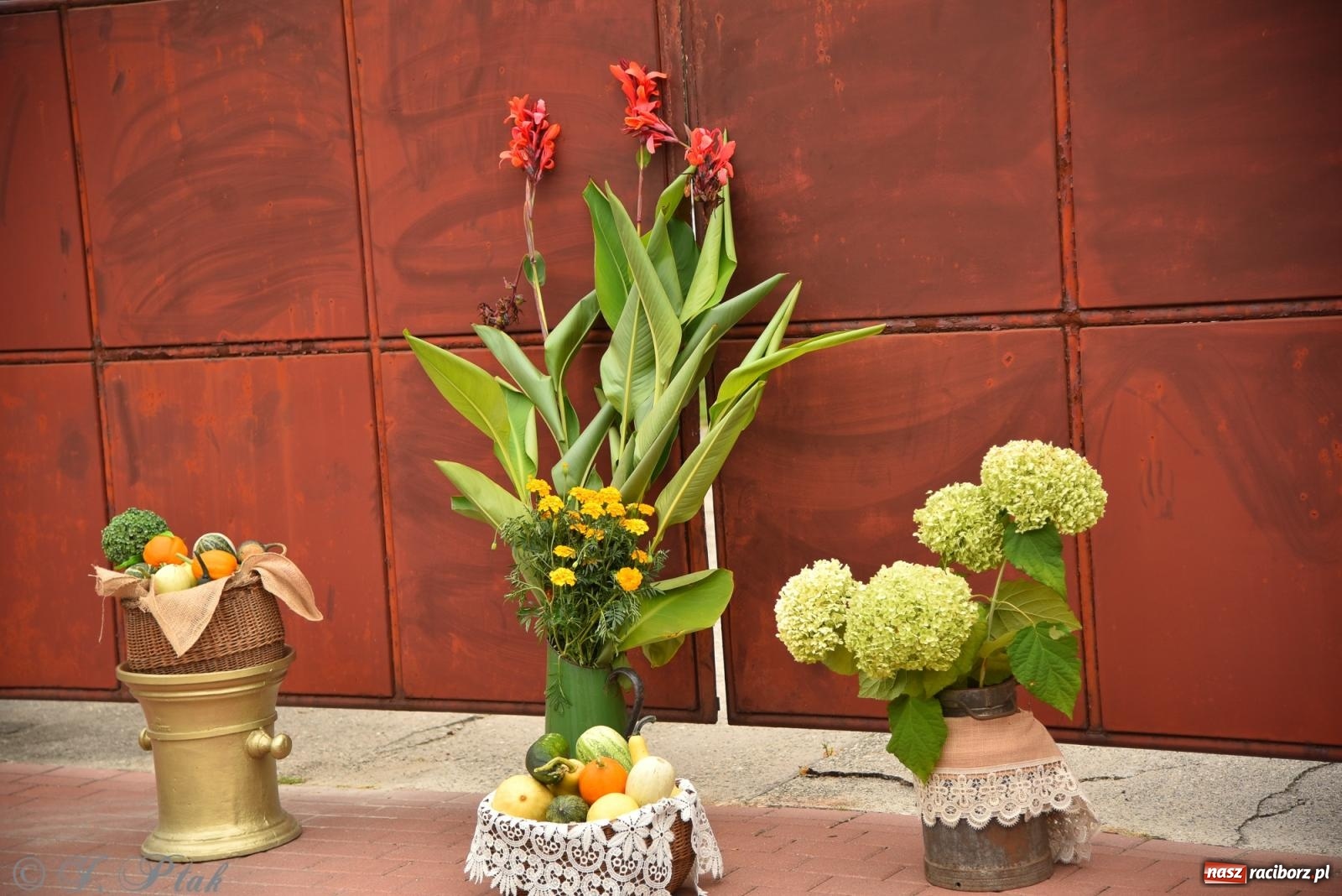 Zdjęcie w galerii na portalu naszraciborz.pl: Dożynki w Krzanowicach już za nami – zdjęcia na bis! wiadomości z regionu