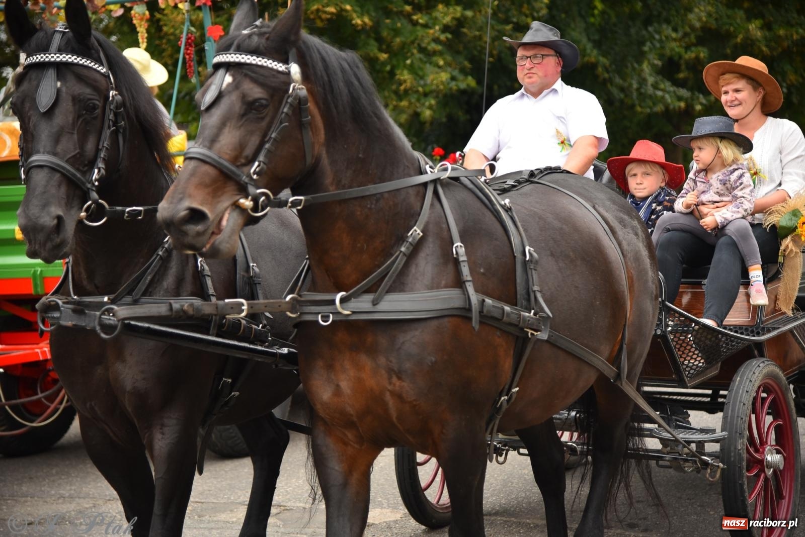 Zdjęcie w galerii na portalu naszraciborz.pl: Dożynki w Krzanowicach już za nami – zdjęcia na bis! wiadomości z regionu