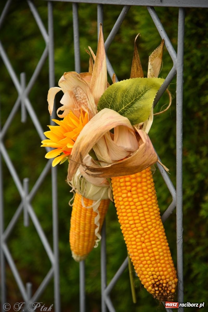 Zdjęcie w galerii na portalu naszraciborz.pl: Dożynki w Krzanowicach już za nami – zdjęcia na bis! wiadomości z regionu