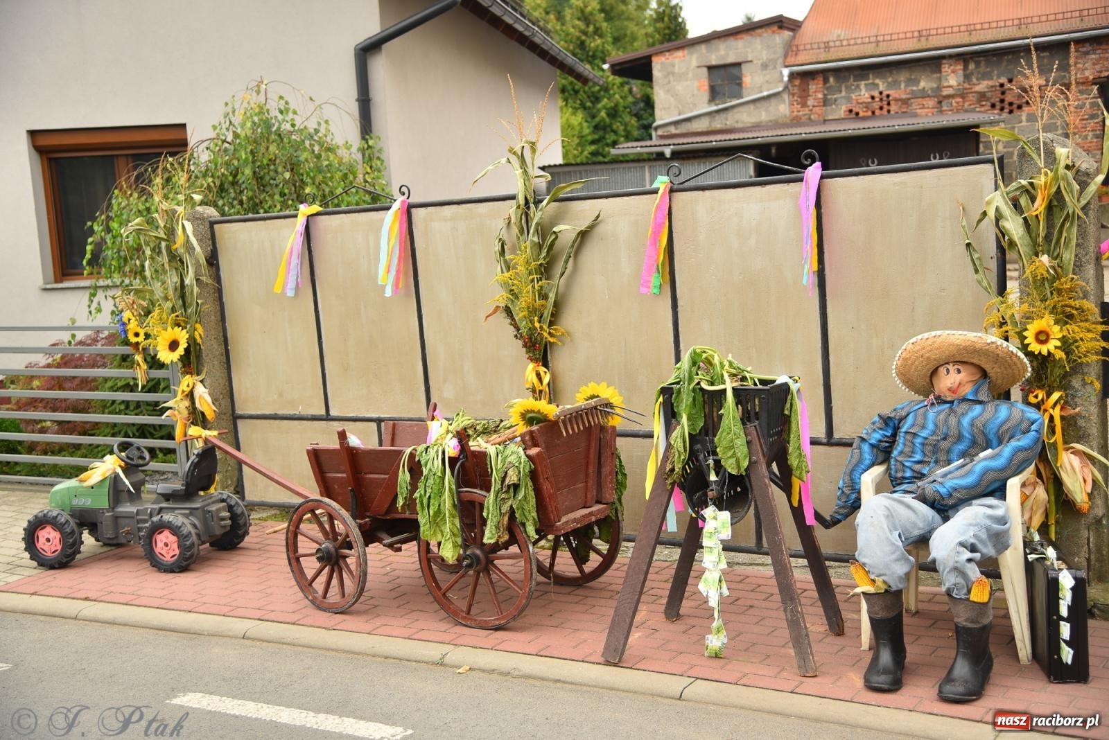 Zdjęcie w galerii na portalu naszraciborz.pl: Dożynki w Krzanowicach już za nami – zdjęcia na bis! wiadomości z regionu