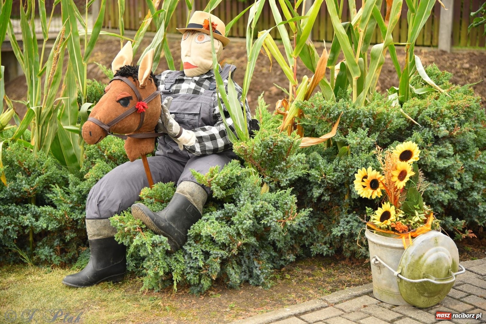 Zdjęcie w galerii na portalu naszraciborz.pl: Dożynki w Krzanowicach już za nami – zdjęcia na bis! wiadomości z regionu