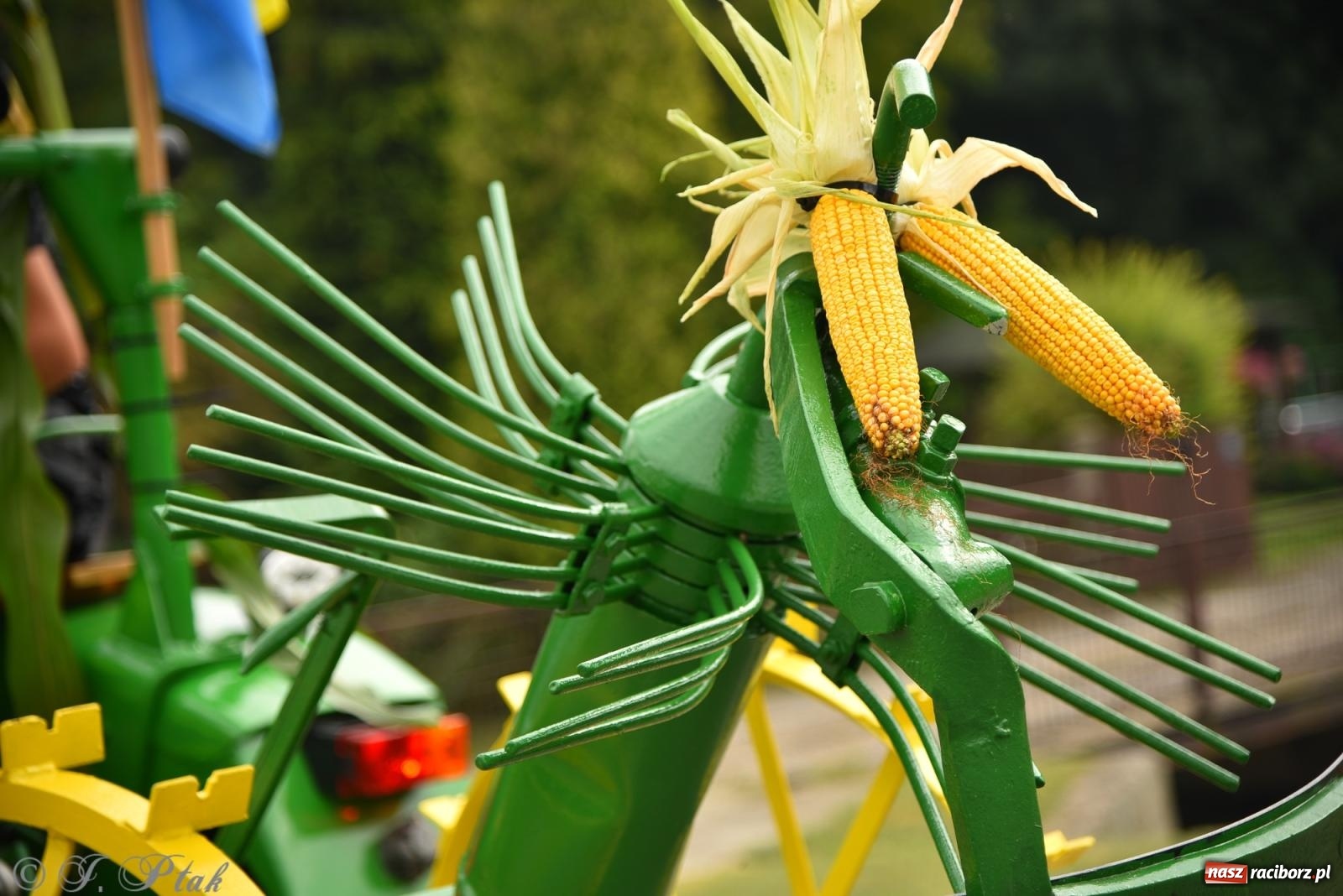 Zdjęcie w galerii na portalu naszraciborz.pl: Dożynki w Krzanowicach już za nami – zdjęcia na bis! wiadomości z regionu