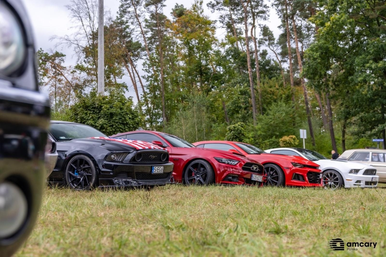 Zdjęcie w galerii na portalu naszraciborz.pl: Zlot motoryzacyjny w Kuźni Raciborskiej – zdjęcia z wydarzenia wiadomości z regionu