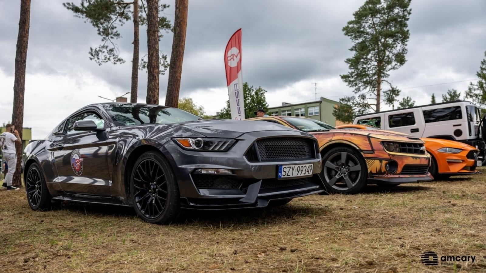 Zdjęcie w galerii na portalu naszraciborz.pl: Zlot motoryzacyjny w Kuźni Raciborskiej – zdjęcia z wydarzenia wiadomości z regionu
