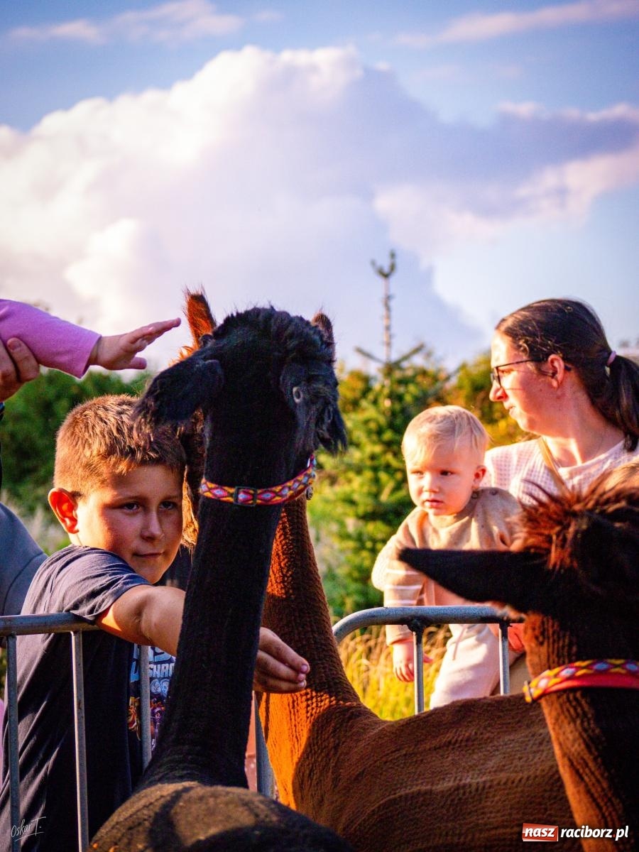 Zdjęcie w galerii na portalu naszraciborz.pl: Dożynki w Nędzy – święto plonów z muzyką i tańcem na bis! wiadomości z regionu