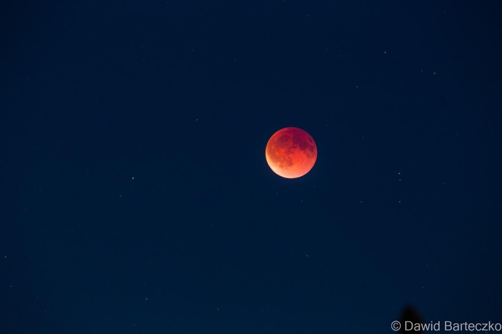 Zdjęcie w galerii na portalu naszraciborz.pl: Nocne obserwacje nieba w Raciborzu – mieszkańcy oglądali całkowite zaćmienie Księżyca wiadomości z regionu