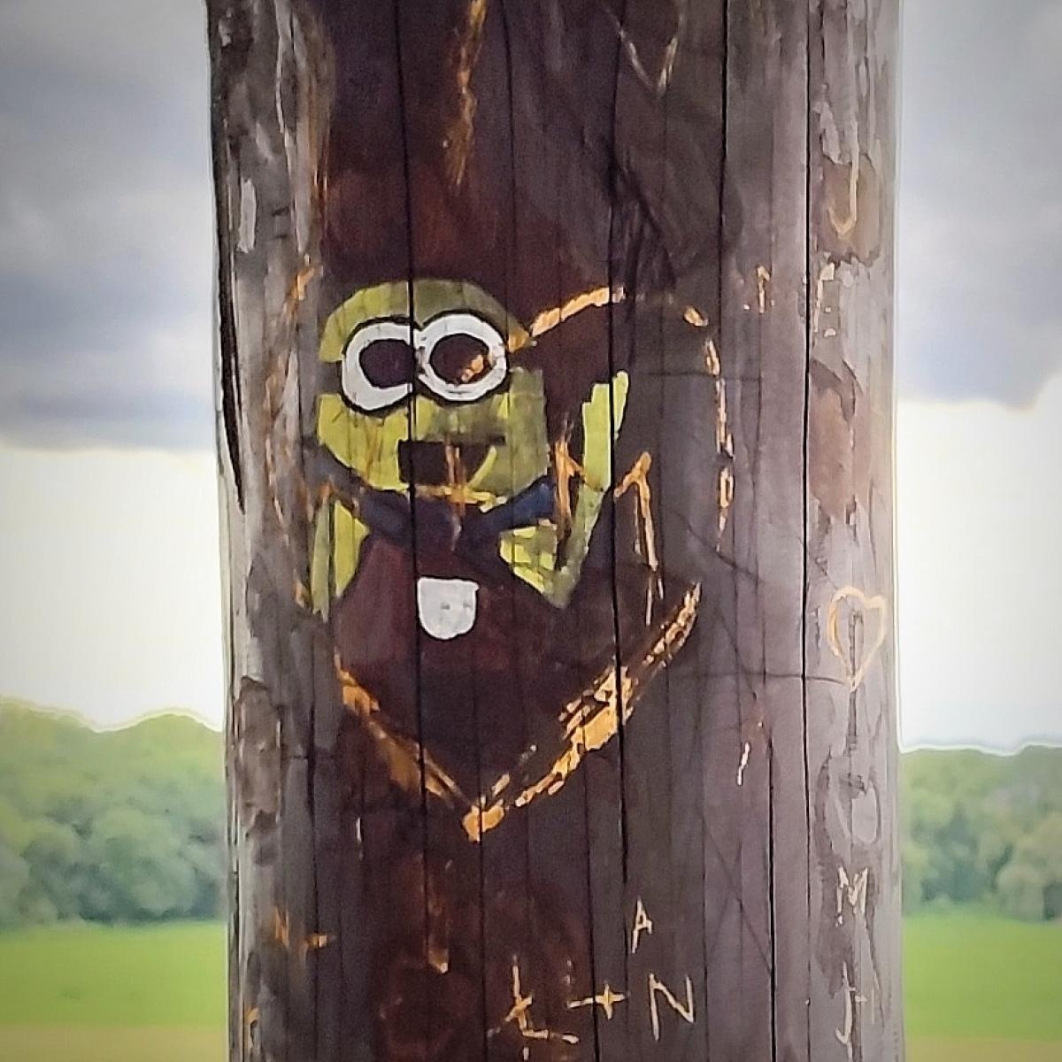 Zdjęcie w galerii na portalu naszraciborz.pl: Letni spływ kajakowy po Meandrach Odry z ornitologiem Tomaszem wiadomości z regionu