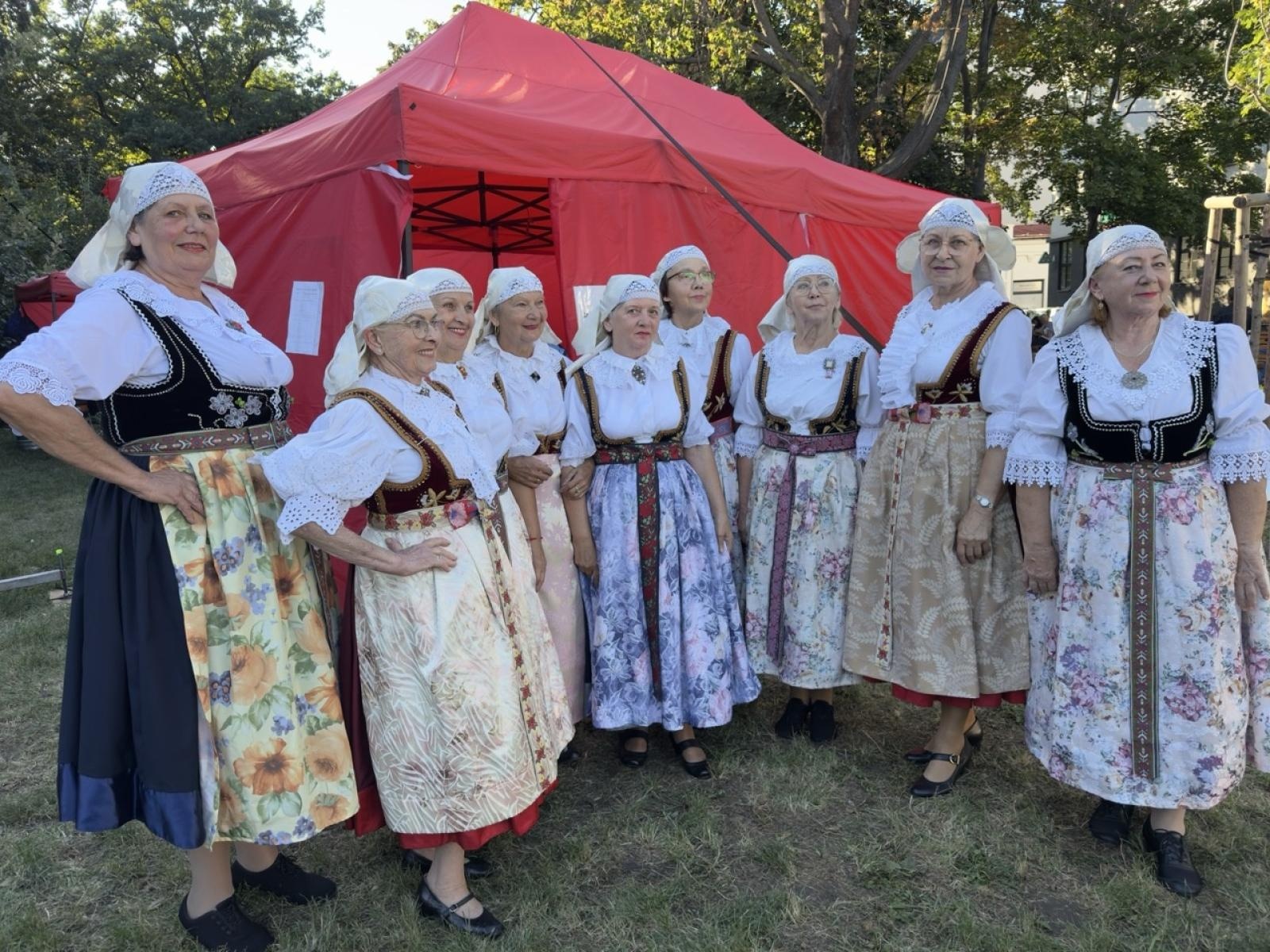 Zdjęcie w galerii na portalu naszraciborz.pl: ZPiT Strzecha im. Joli Rymszy rozpoczyna rok kulturalny serią spektakularnych występów wiadomości z regionu