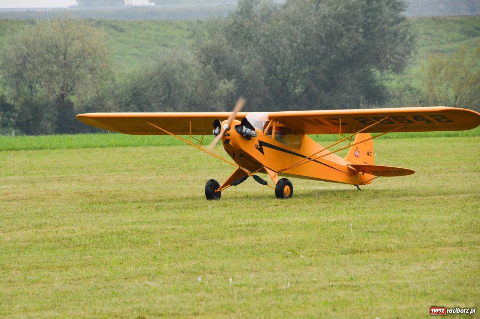 Zdjęcie w galerii na portalu naszraciborz.pl: Deszcz nie przegonił modelarzy. Trwa RC AirShow [FOTO i WIDEO] wiadomości z regionu