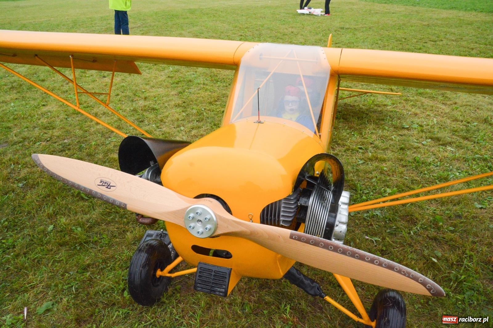 Zdjęcie w galerii na portalu naszraciborz.pl: Deszcz nie przegonił modelarzy. Trwa RC AirShow [FOTO i WIDEO] wiadomości z regionu