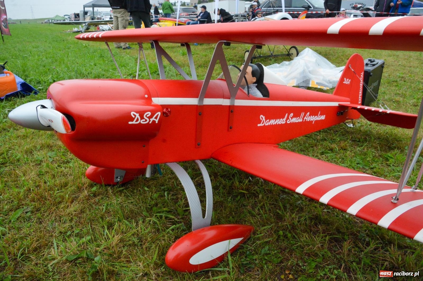 Zdjęcie w galerii na portalu naszraciborz.pl: Deszcz nie przegonił modelarzy. Trwa RC AirShow [FOTO i WIDEO] wiadomości z regionu