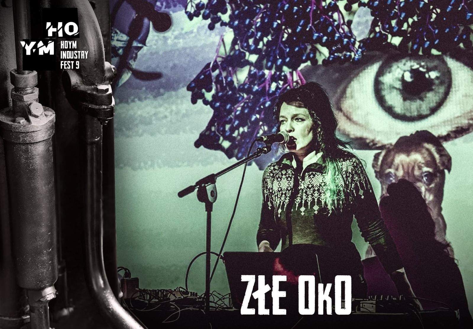 Zdjęcie w galerii na portalu naszraciborz.pl: HOYM Industry FEST 9 w Rybniku, tym razem międzynarodowo! wiadomości z regionu