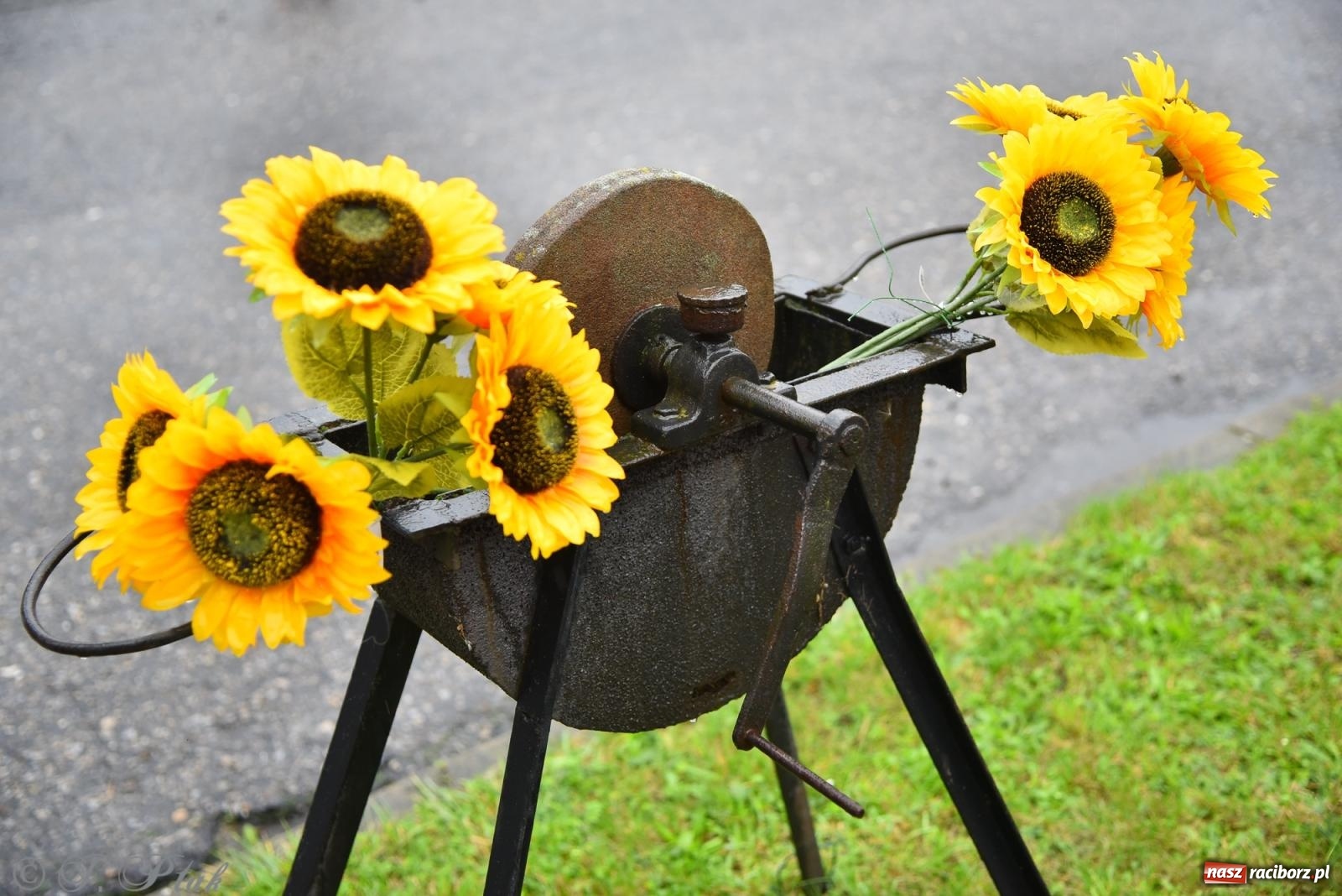 Zdjęcie w galerii na portalu naszraciborz.pl: Dożynki 2025. Tworków nie przestraszył się deszczu [FOTO i WIDEO] wiadomości z regionu
