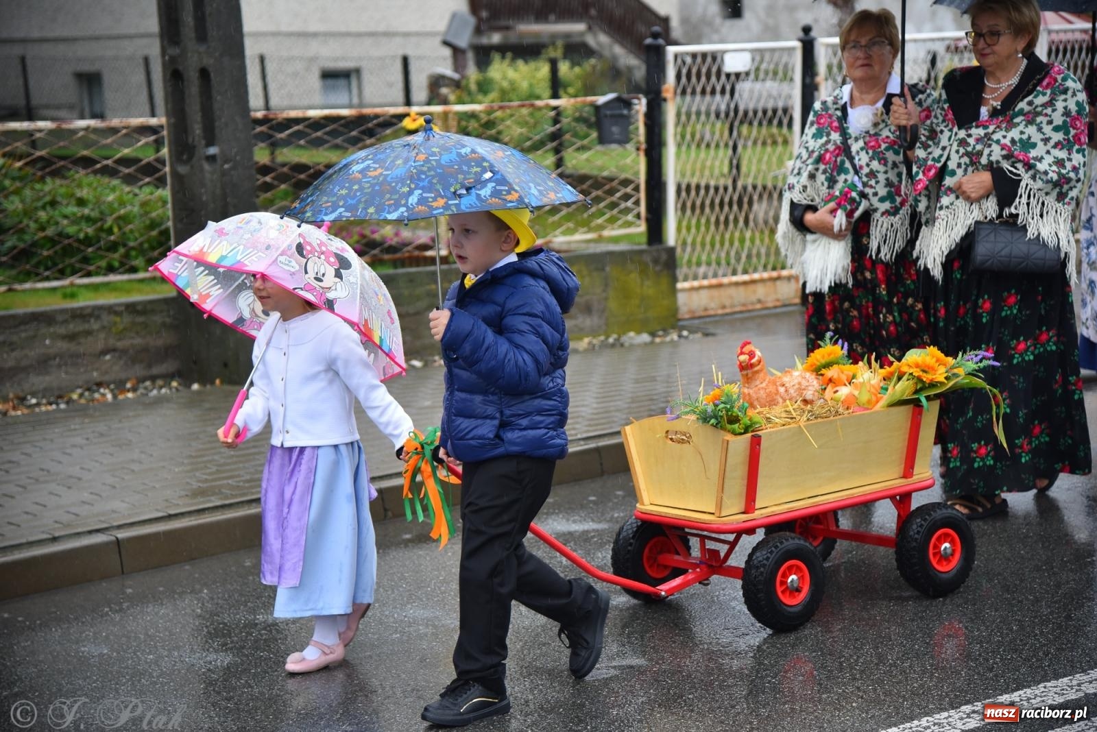 Zdjęcie w galerii na portalu naszraciborz.pl: Dożynki 2025. Tworków nie przestraszył się deszczu [FOTO i WIDEO] wiadomości z regionu