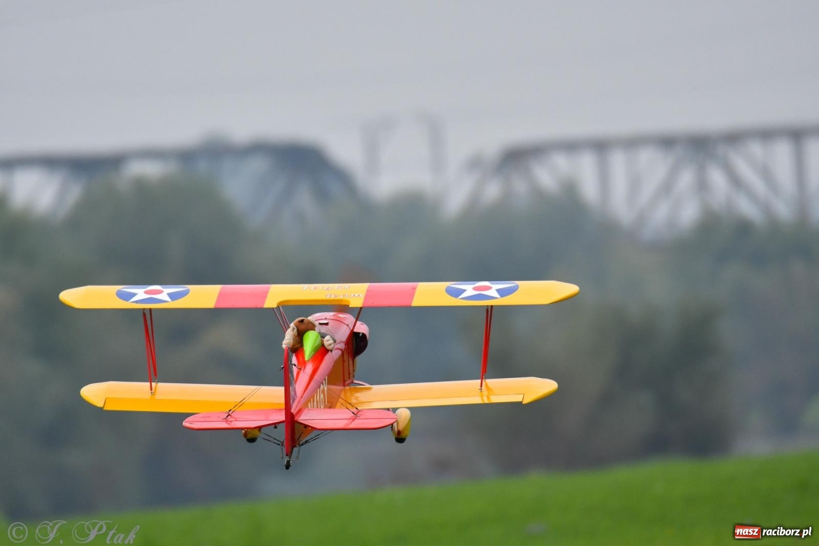 Zdjęcie w galerii na portalu naszraciborz.pl: Pogoda przerwała finał raciborskiego RC Airshow [FOTO] wiadomości z regionu