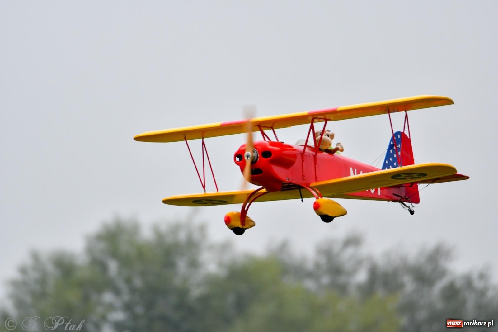 Zdjęcie w galerii na portalu naszraciborz.pl: Pogoda przerwała finał raciborskiego RC Airshow [FOTO] wiadomości z regionu