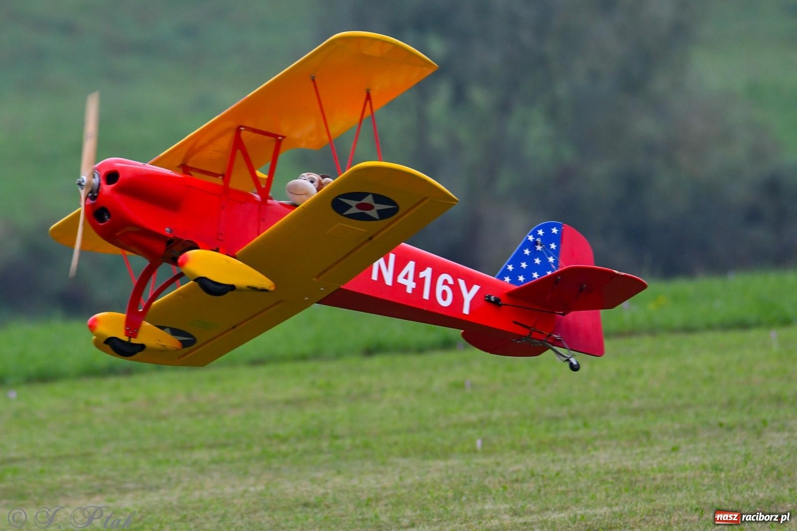 Zdjęcie w galerii na portalu naszraciborz.pl: Pogoda przerwała finał raciborskiego RC Airshow [FOTO] wiadomości z regionu