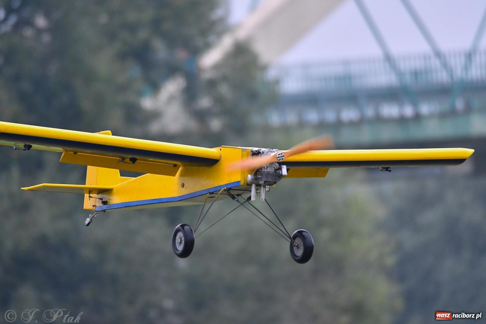 Zdjęcie w galerii na portalu naszraciborz.pl: Pogoda przerwała finał raciborskiego RC Airshow [FOTO] wiadomości z regionu