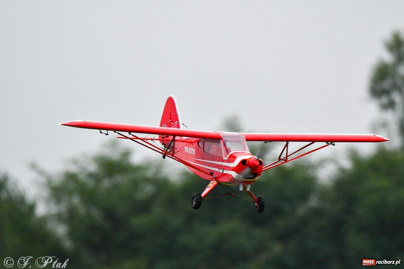 Zdjęcie w galerii na portalu naszraciborz.pl: Pogoda przerwała finał raciborskiego RC Airshow [FOTO] wiadomości z regionu
