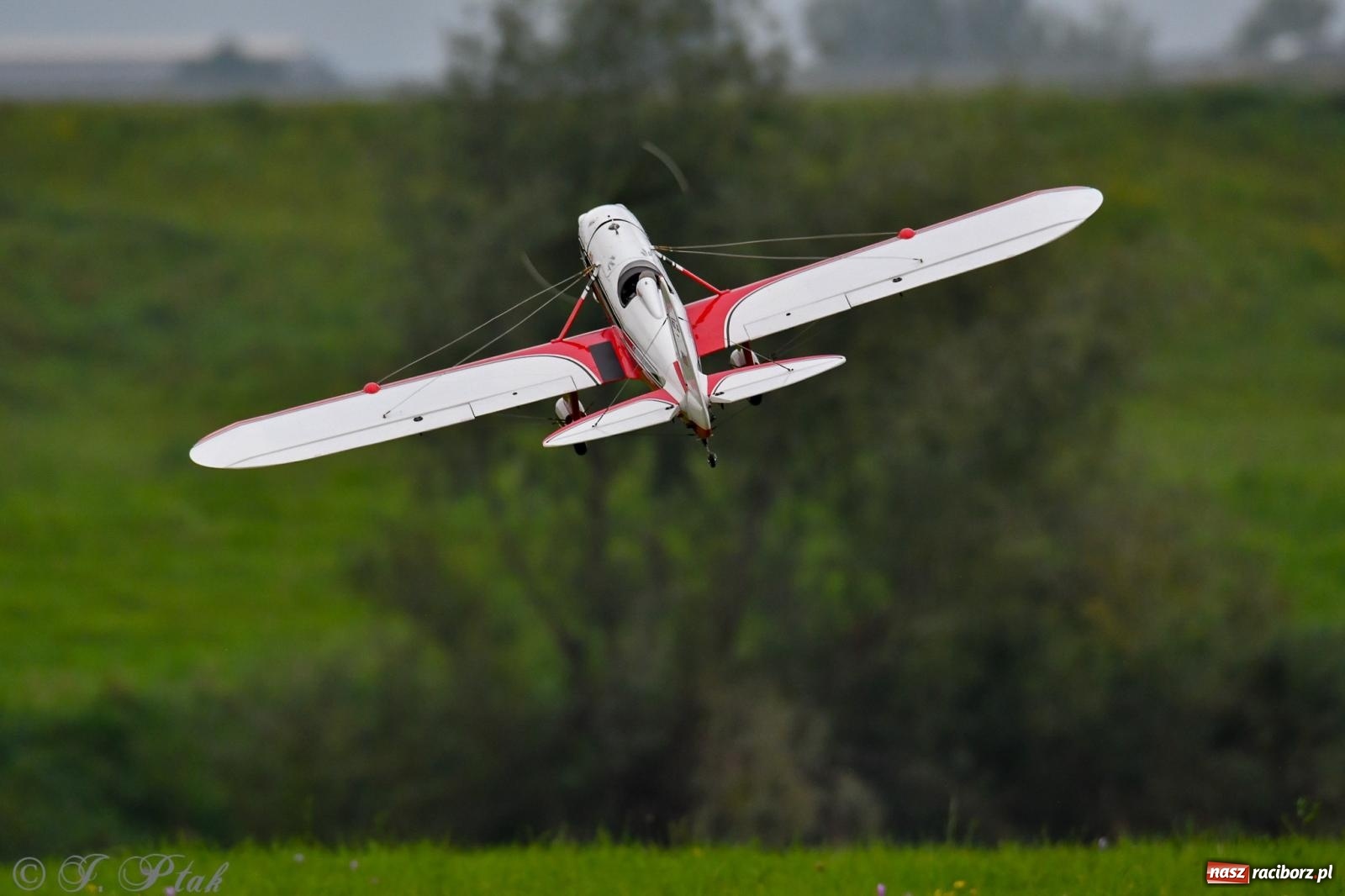 Zdjęcie w galerii na portalu naszraciborz.pl: Pogoda przerwała finał raciborskiego RC Airshow [FOTO] wiadomości z regionu
