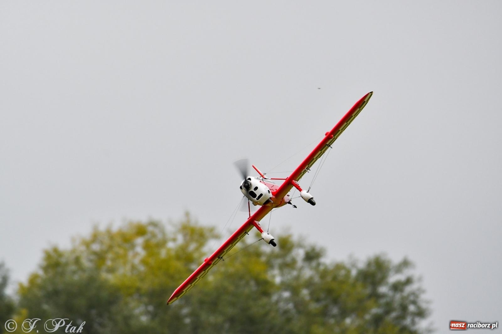 Zdjęcie w galerii na portalu naszraciborz.pl: Pogoda przerwała finał raciborskiego RC Airshow [FOTO] wiadomości z regionu