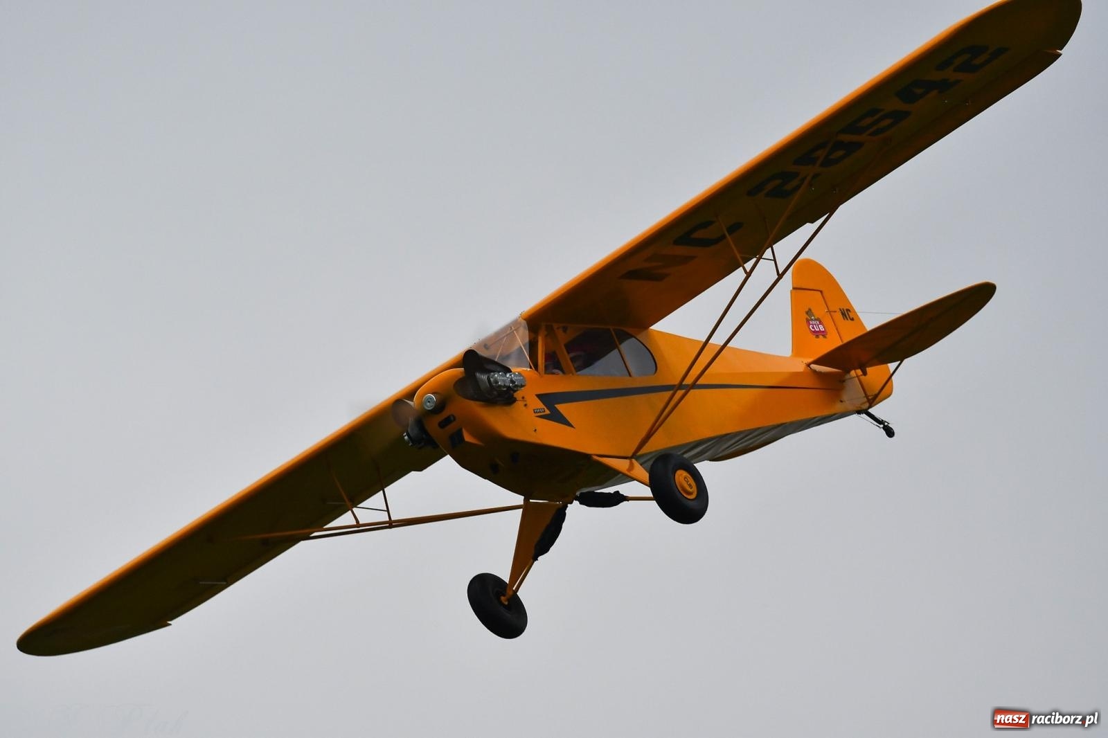 Zdjęcie w galerii na portalu naszraciborz.pl: Pogoda przerwała finał raciborskiego RC Airshow [FOTO] wiadomości z regionu