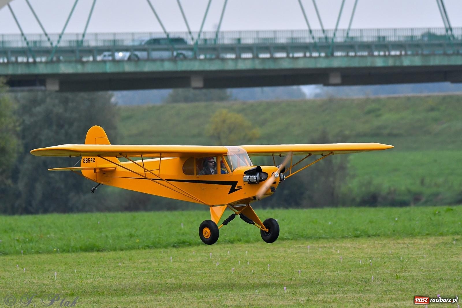 Zdjęcie w galerii na portalu naszraciborz.pl: Pogoda przerwała finał raciborskiego RC Airshow [FOTO] wiadomości z regionu