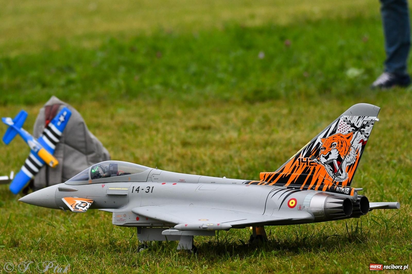 Zdjęcie w galerii na portalu naszraciborz.pl: Pogoda przerwała finał raciborskiego RC Airshow [FOTO] wiadomości z regionu