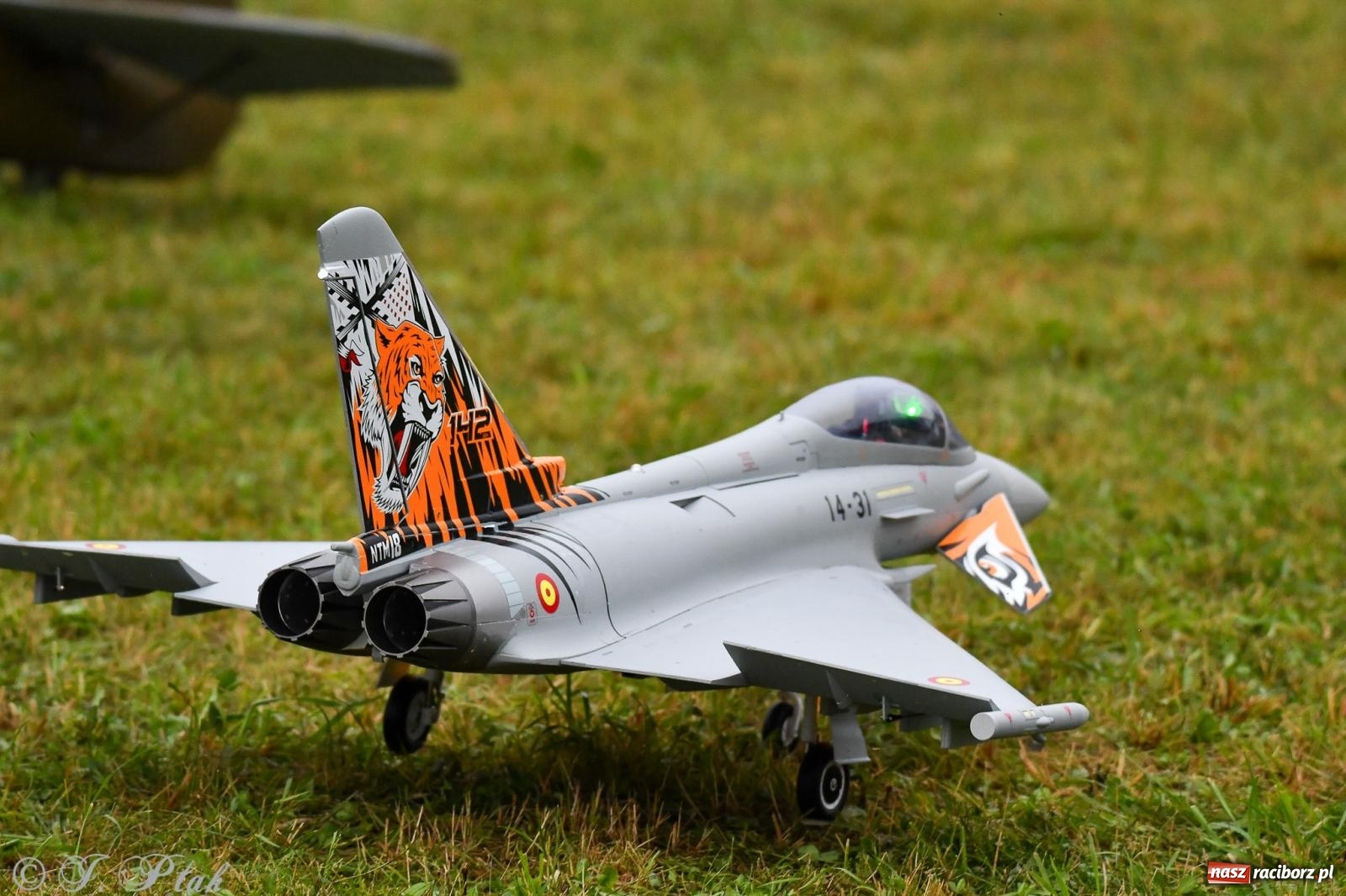 Zdjęcie w galerii na portalu naszraciborz.pl: Pogoda przerwała finał raciborskiego RC Airshow [FOTO] wiadomości z regionu