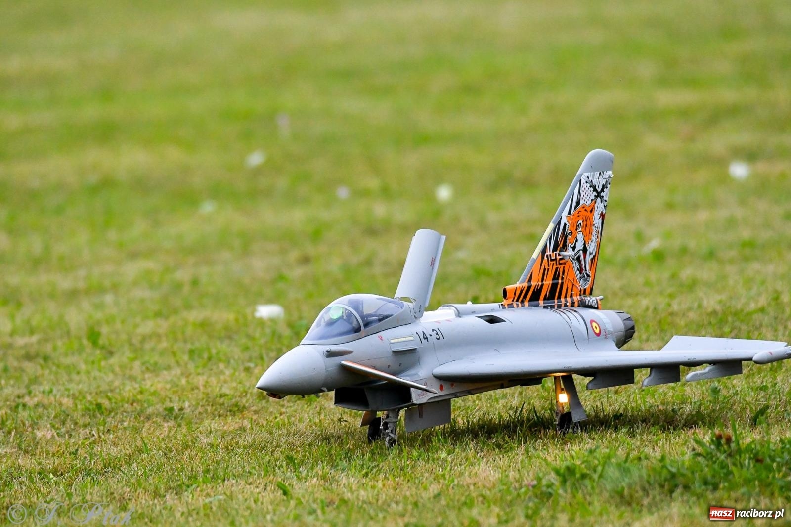 Zdjęcie w galerii na portalu naszraciborz.pl: Pogoda przerwała finał raciborskiego RC Airshow [FOTO] wiadomości z regionu