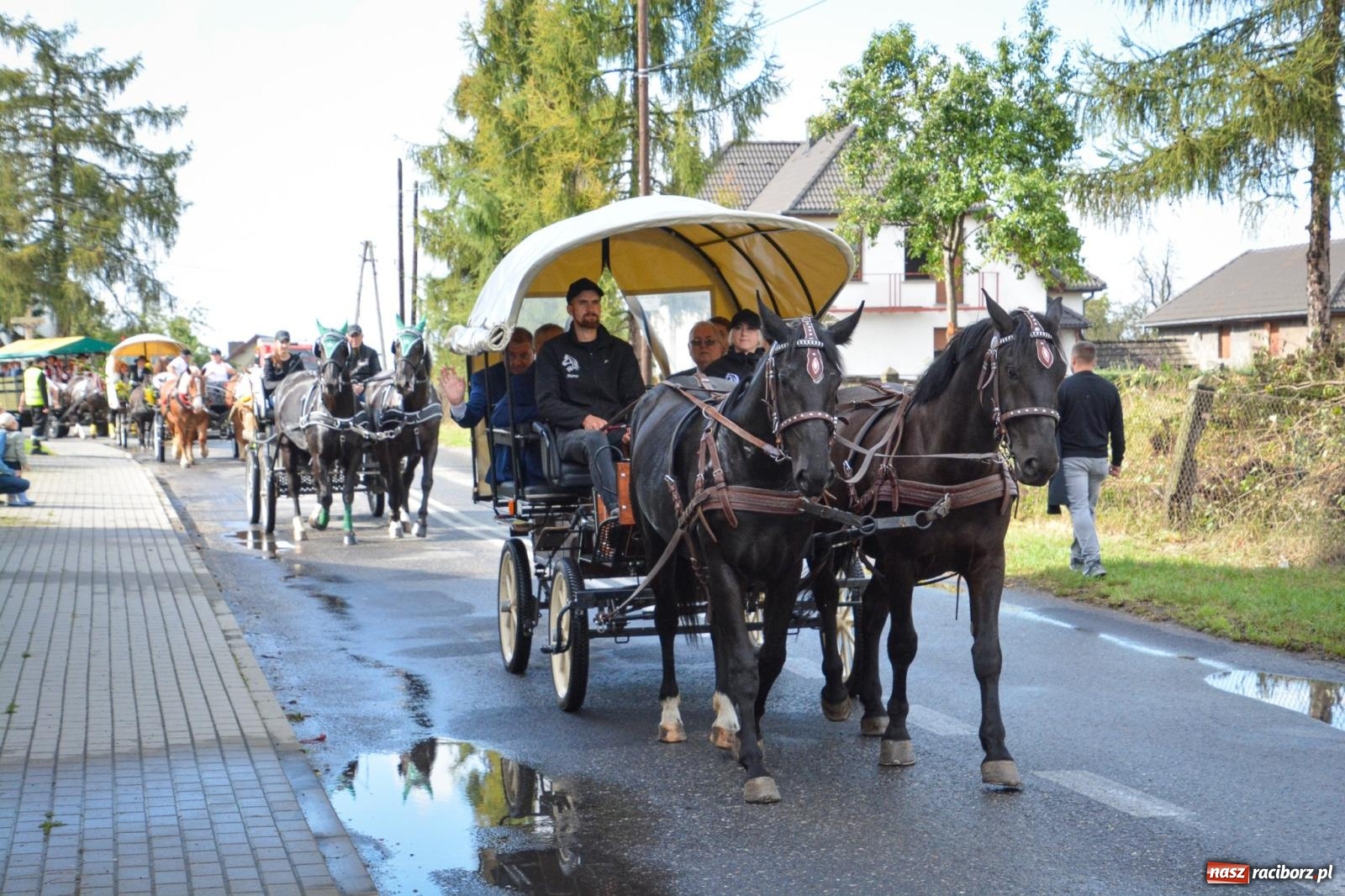 Zdjęcie w galerii na portalu naszraciborz.pl: Pogrzebień gospodarzem dożynek gminnych. Jeden z największych korowodów w powiecie [FOTO i WIDEO] wiadomości z regionu
