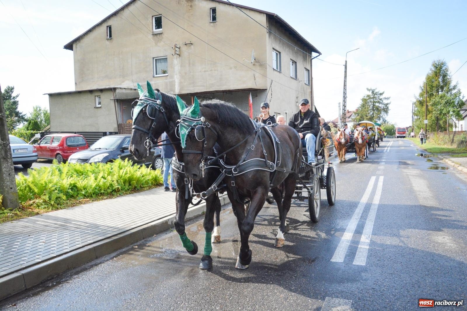 Zdjęcie w galerii na portalu naszraciborz.pl: Pogrzebień gospodarzem dożynek gminnych. Jeden z największych korowodów w powiecie [FOTO i WIDEO] wiadomości z regionu