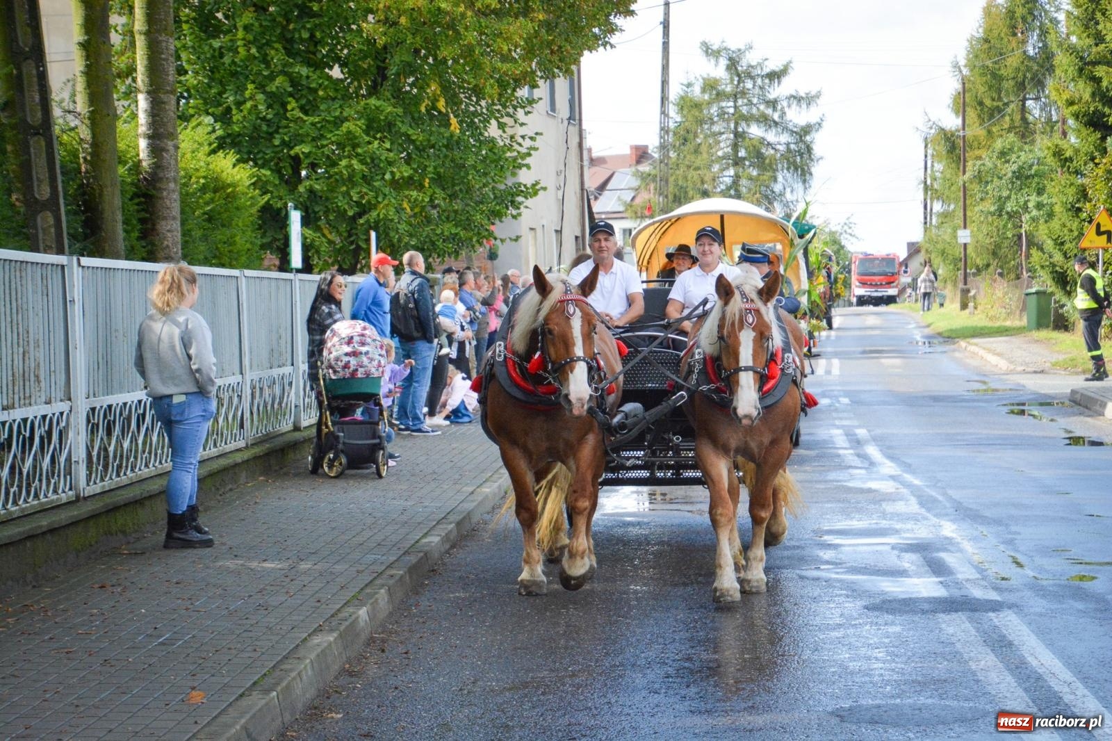 Zdjęcie w galerii na portalu naszraciborz.pl: Pogrzebień gospodarzem dożynek gminnych. Jeden z największych korowodów w powiecie [FOTO i WIDEO] wiadomości z regionu