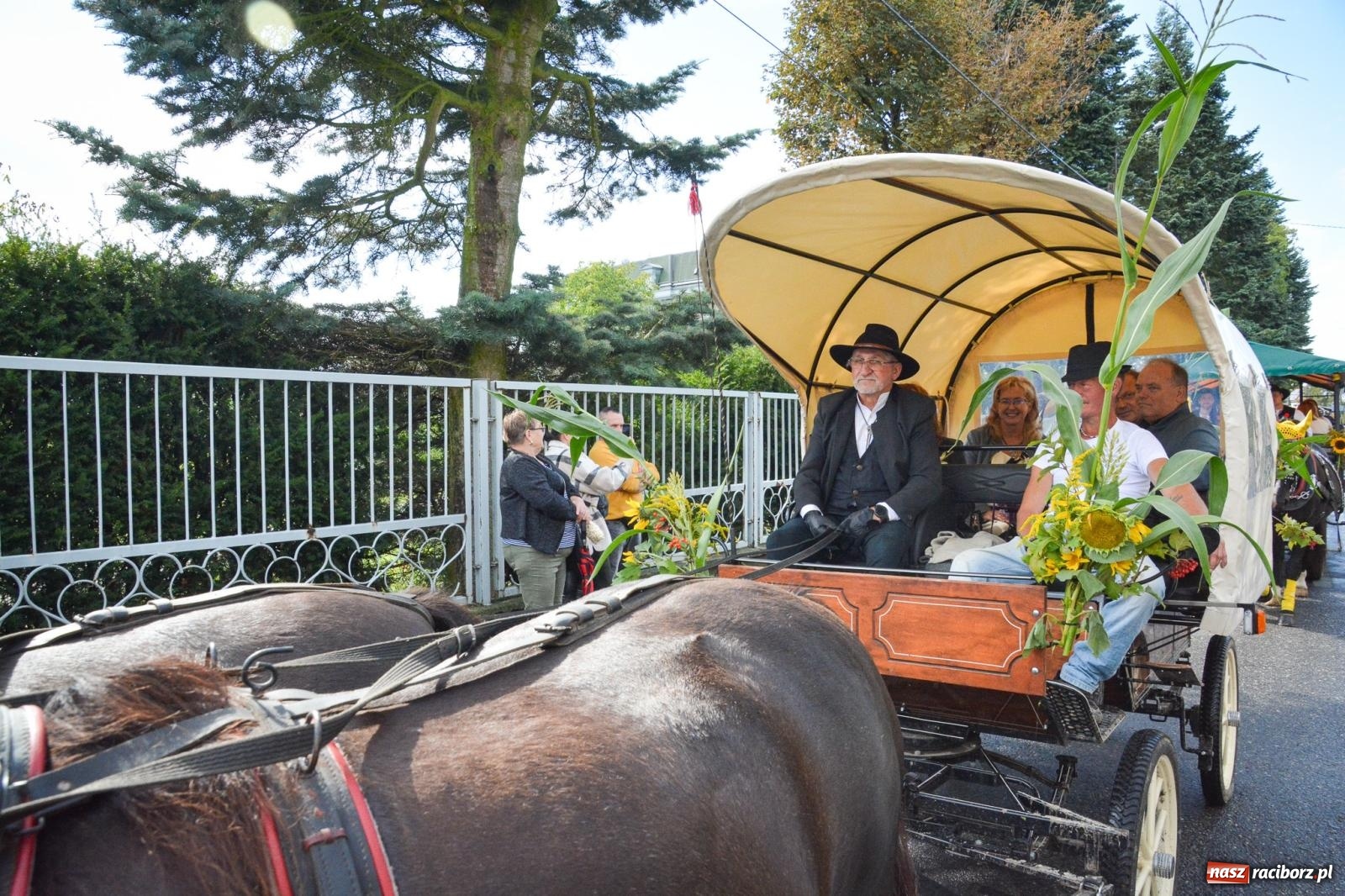 Zdjęcie w galerii na portalu naszraciborz.pl: Pogrzebień gospodarzem dożynek gminnych. Jeden z największych korowodów w powiecie [FOTO i WIDEO] wiadomości z regionu