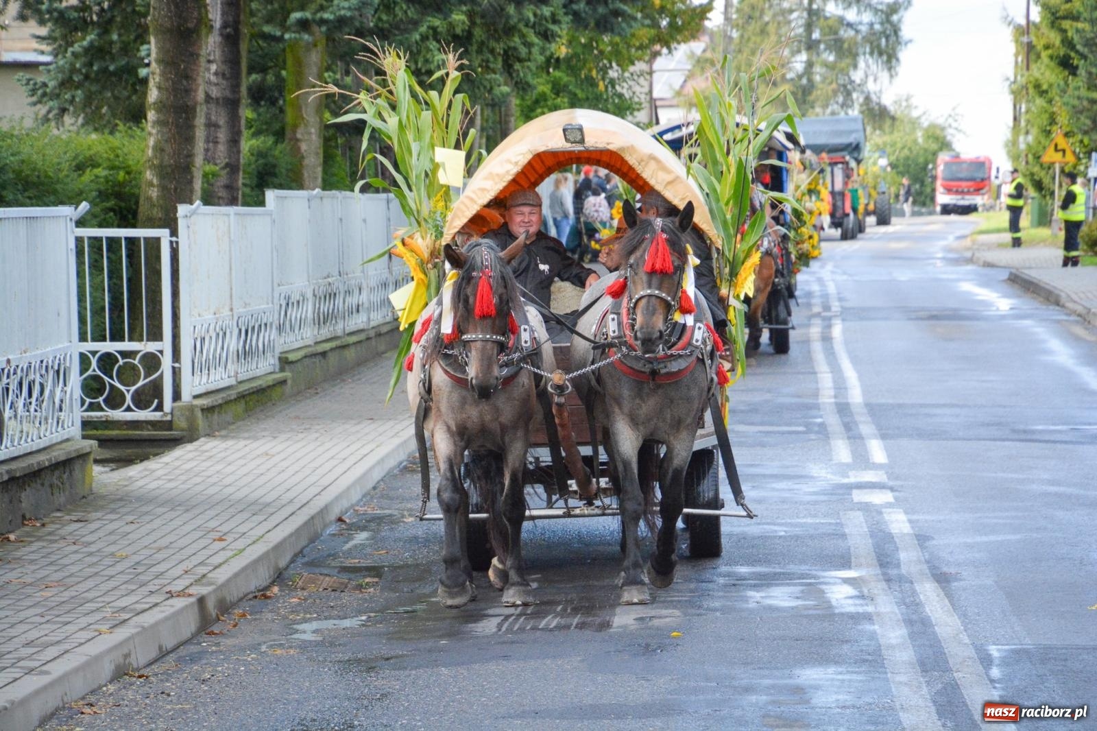Zdjęcie w galerii na portalu naszraciborz.pl: Pogrzebień gospodarzem dożynek gminnych. Jeden z największych korowodów w powiecie [FOTO i WIDEO] wiadomości z regionu